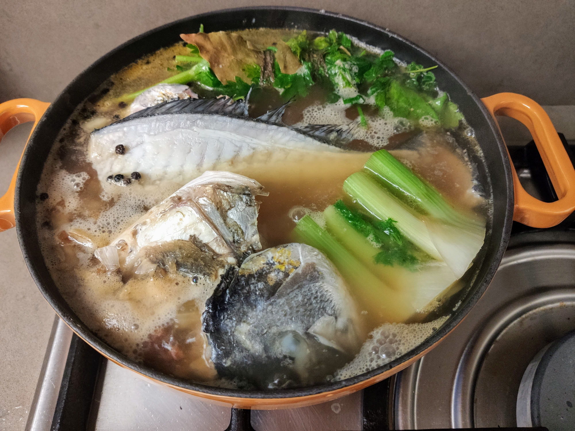 ציר דגים - מתבשל
